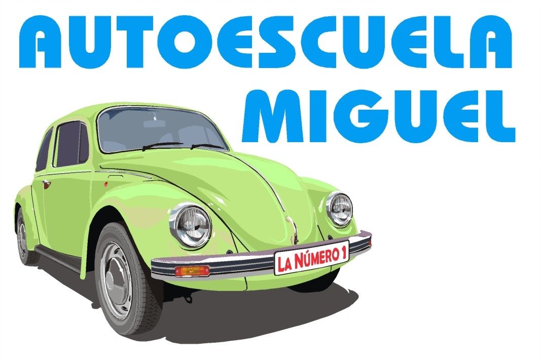 Logo de Autoescuela Miguel E Hijo S L