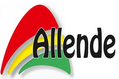 Logo de Autoescuela Allende