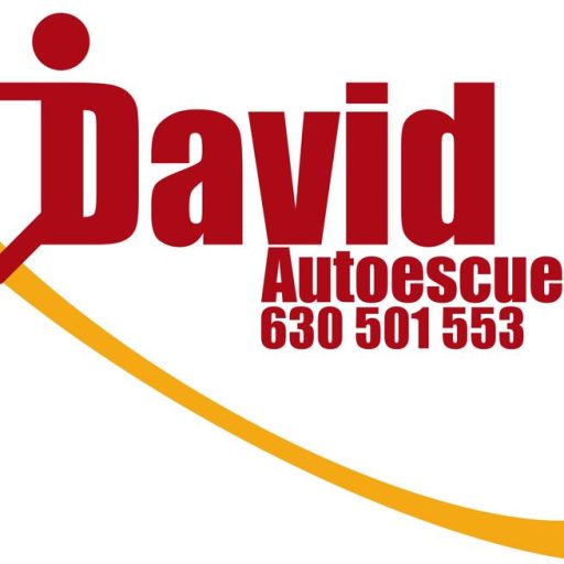 Logo de Autoescuela David