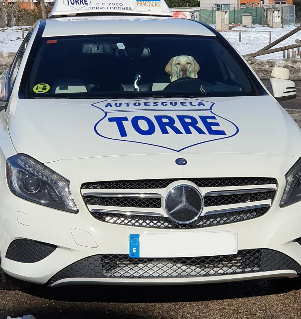 Torre