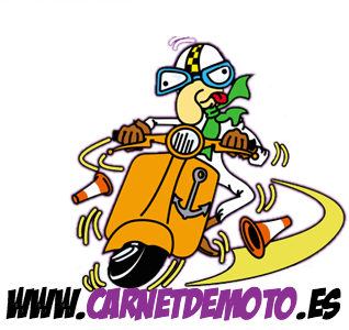 Logo de Autoescuela No Solo Moto