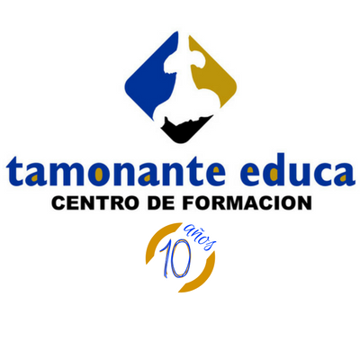 Logo de Autoescuela Tamonante Autoescuela