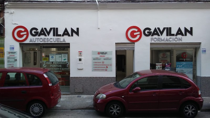 Gavilan