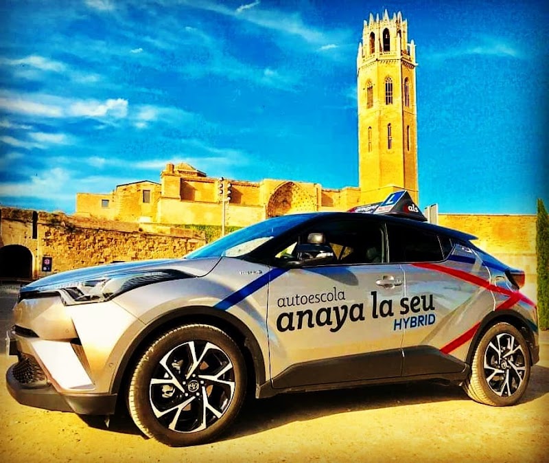 Anaya La Seu