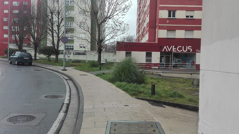Avecus