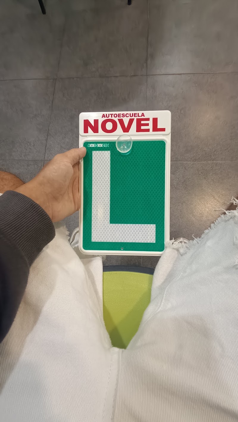 Novel