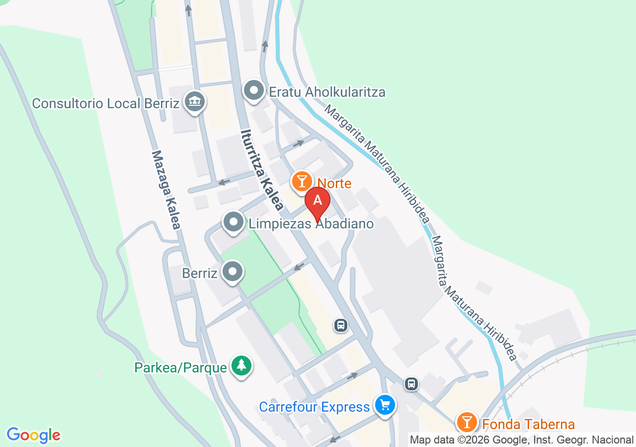 Ubicación de Autoescuela Berriz