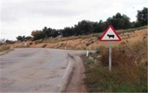 Imagen de la pregunta DGT: A la vista de la señal, ¿tienen preferencia de paso los animales domésticos cuando crucen la calzada...