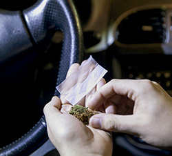 Imagen de la pregunta DGT: El consumo de cannabis afecta al comportamiento del conductor porque...